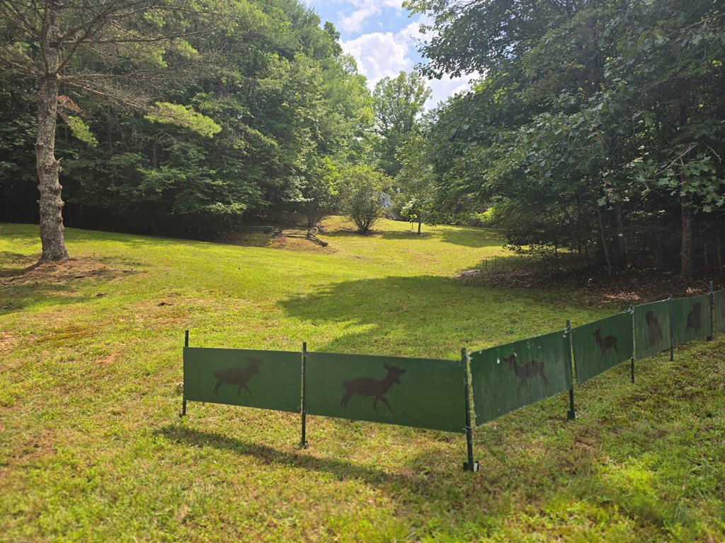 64 Green Oak Road Warne, NC 28909 - Photo 5 of 55 Property has 3 Parcels