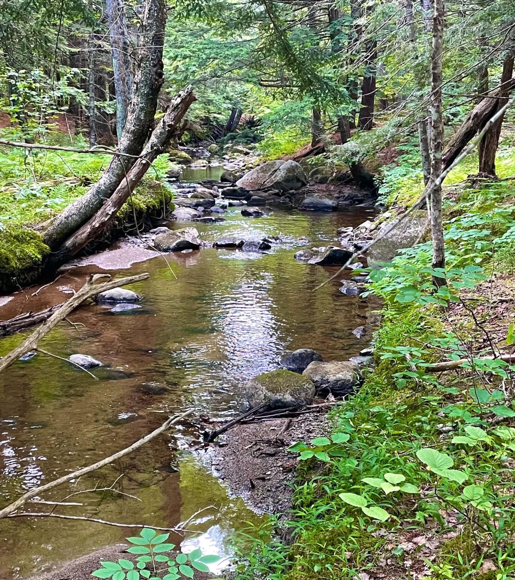 4 4 Mile Square Road Anson, ME 04911 - Photo 2 of 12 Four mile sq rd pic 1
