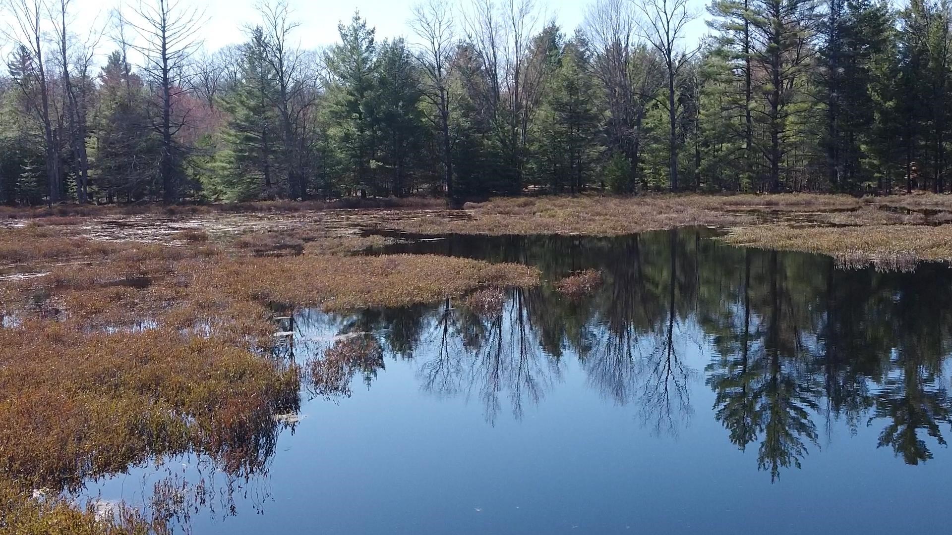 Southeast Spencer Road Southeast Kalkaska, MI 49646 - Photo 13 of 36