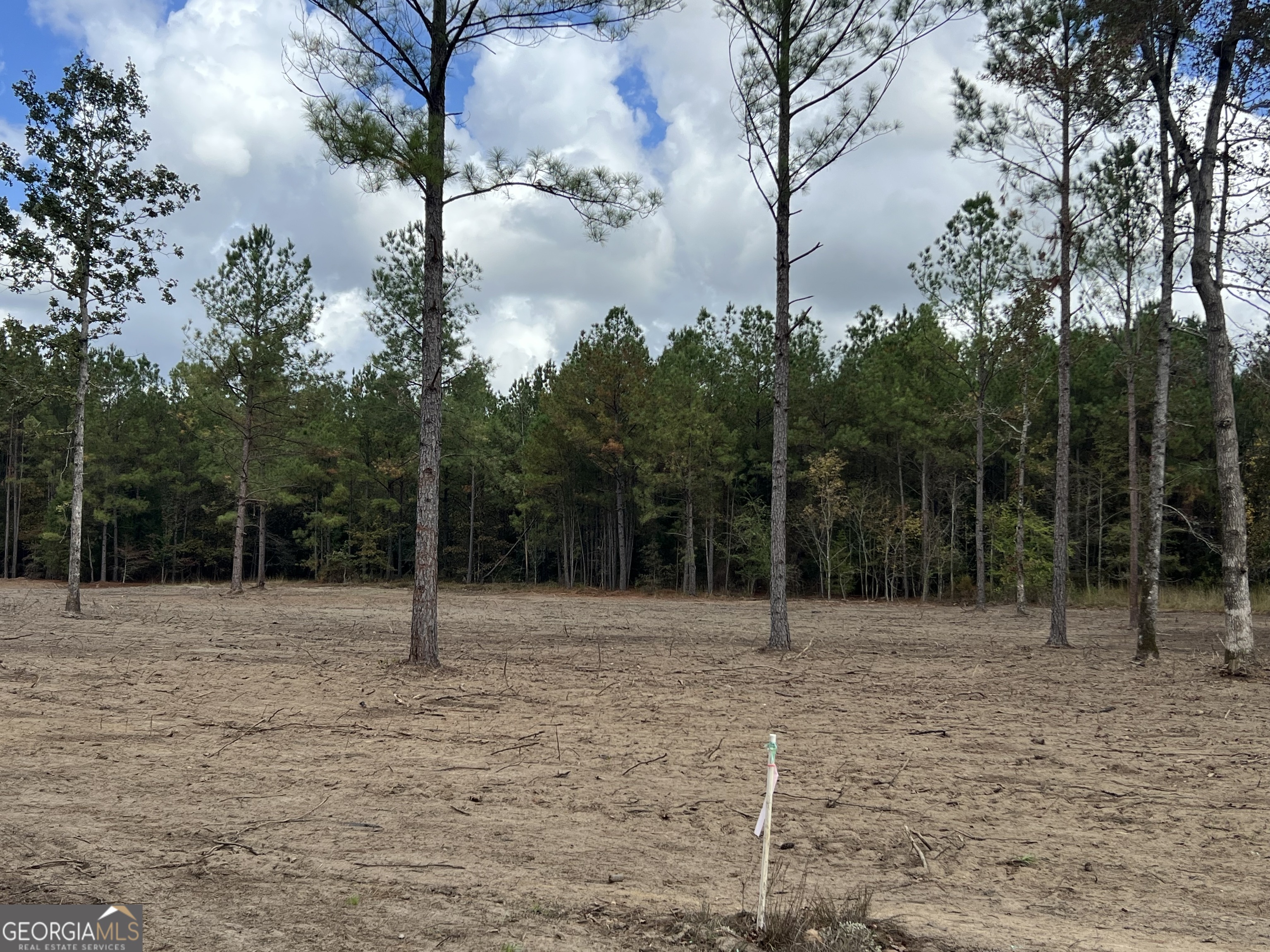 0 Vickers Hill Road Wrightsville, GA 31096 - Photo 2 of 3