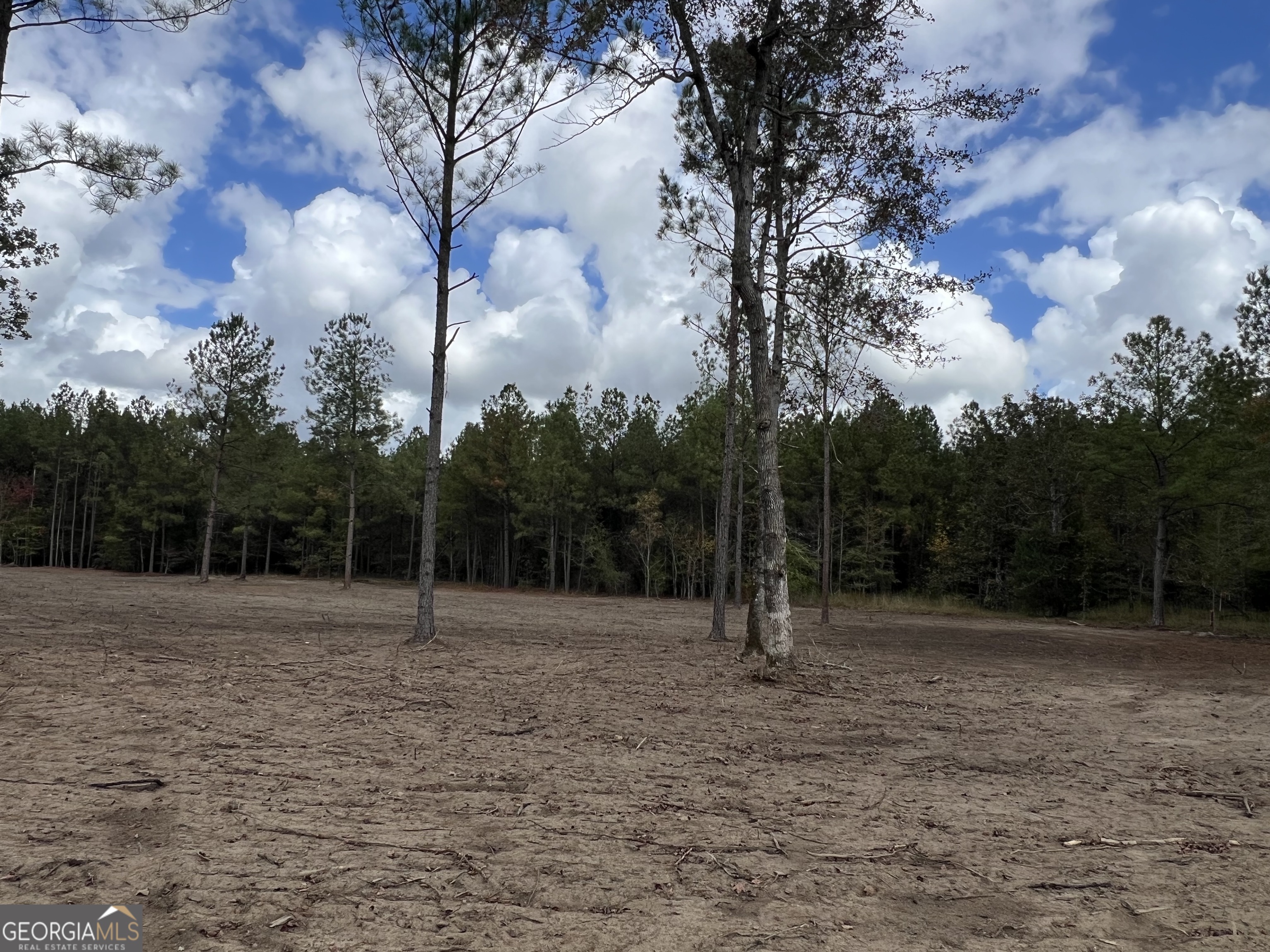 0 Vickers Hill Road Wrightsville, GA 31096 - Photo 3 of 3