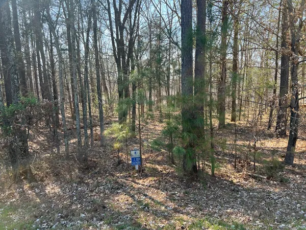 $75,000 | Lot 139 Cherry Point, Goreville, IL 62939