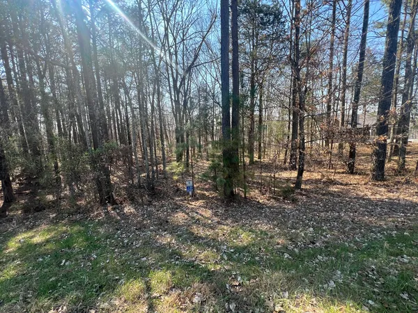 a view of outdoor space with lots of trees