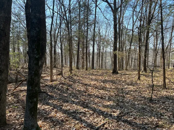 a view of outdoor space with trees
