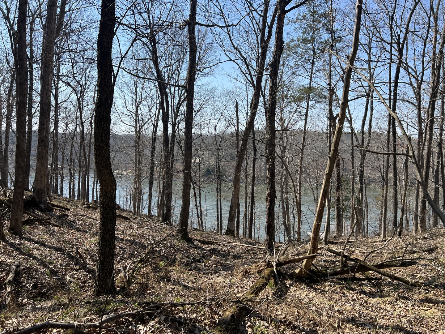 Lot 139 Cherry Point Goreville, IL 62939 - Photo 6 of 11 a backyard of a house with lots of green space