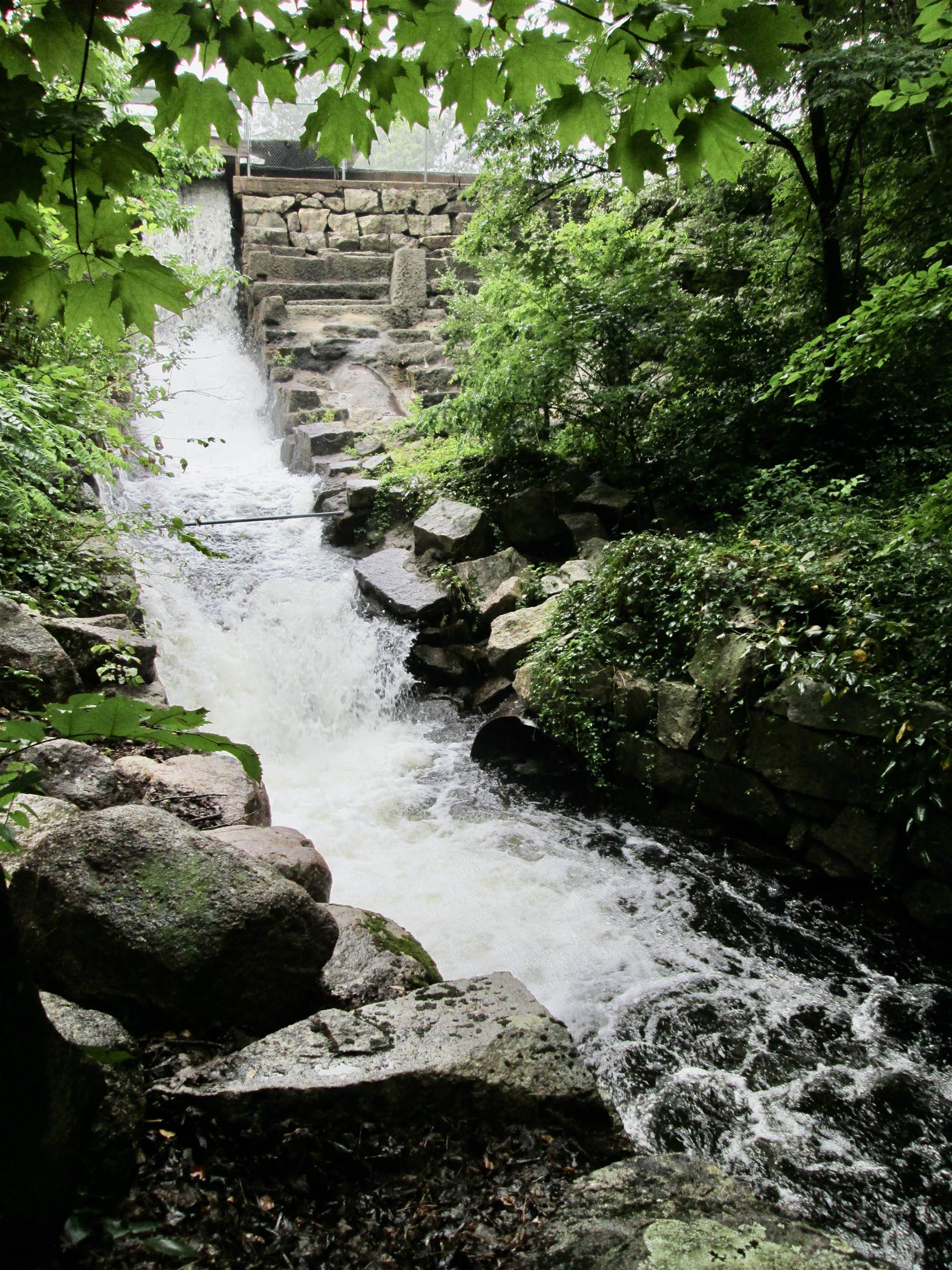 119 Moultonville Road Ossipee, NH 03814 - Photo 1 of 8