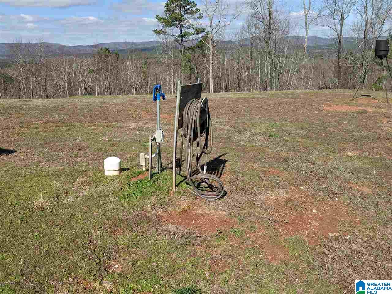 1731 Bolton Road Talladega, AL 35160 - Photo 14 of 46