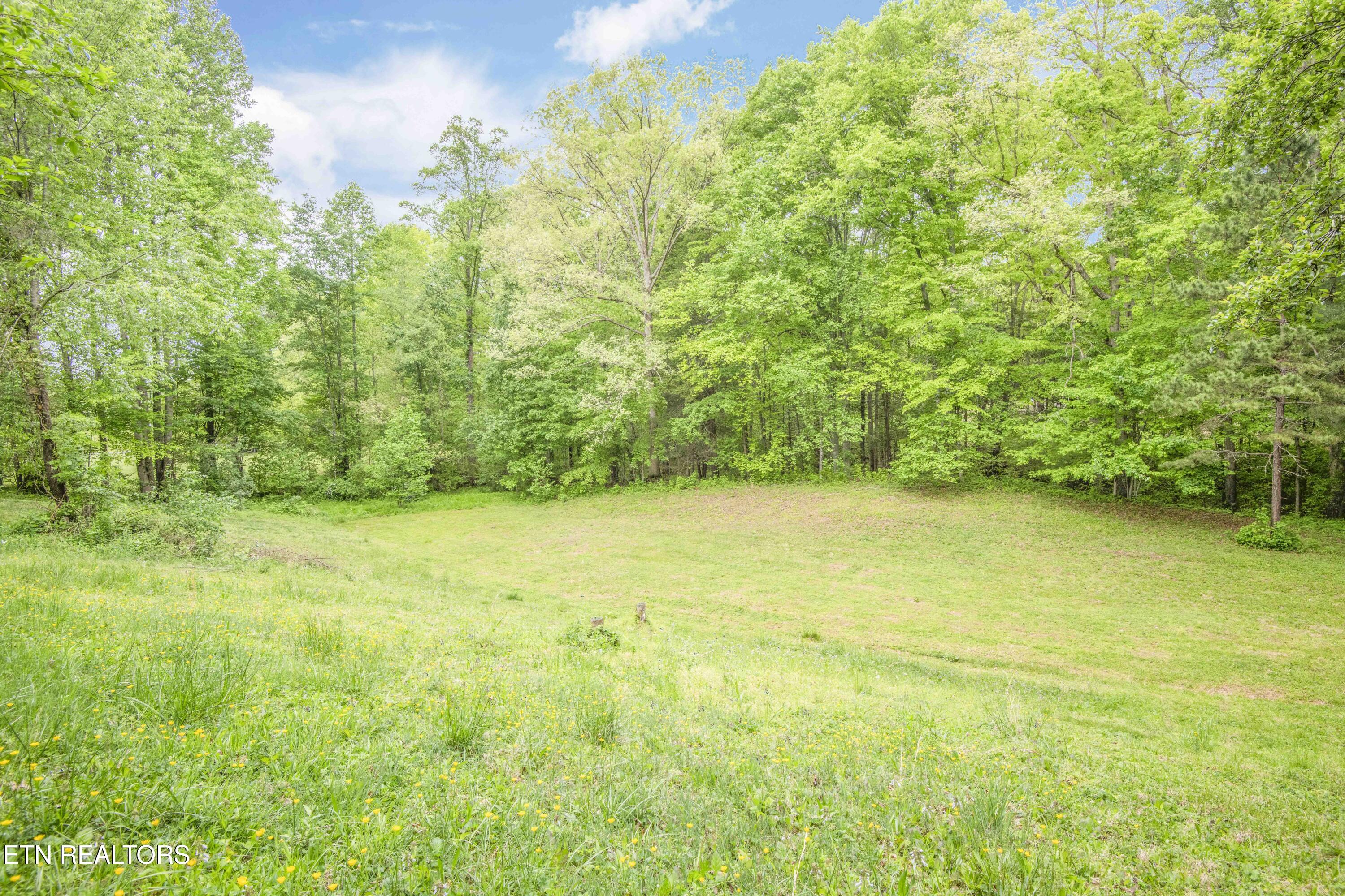 355 Eli Lane Oneida, TN 37841 - Photo 41 of 58 yard 1_1