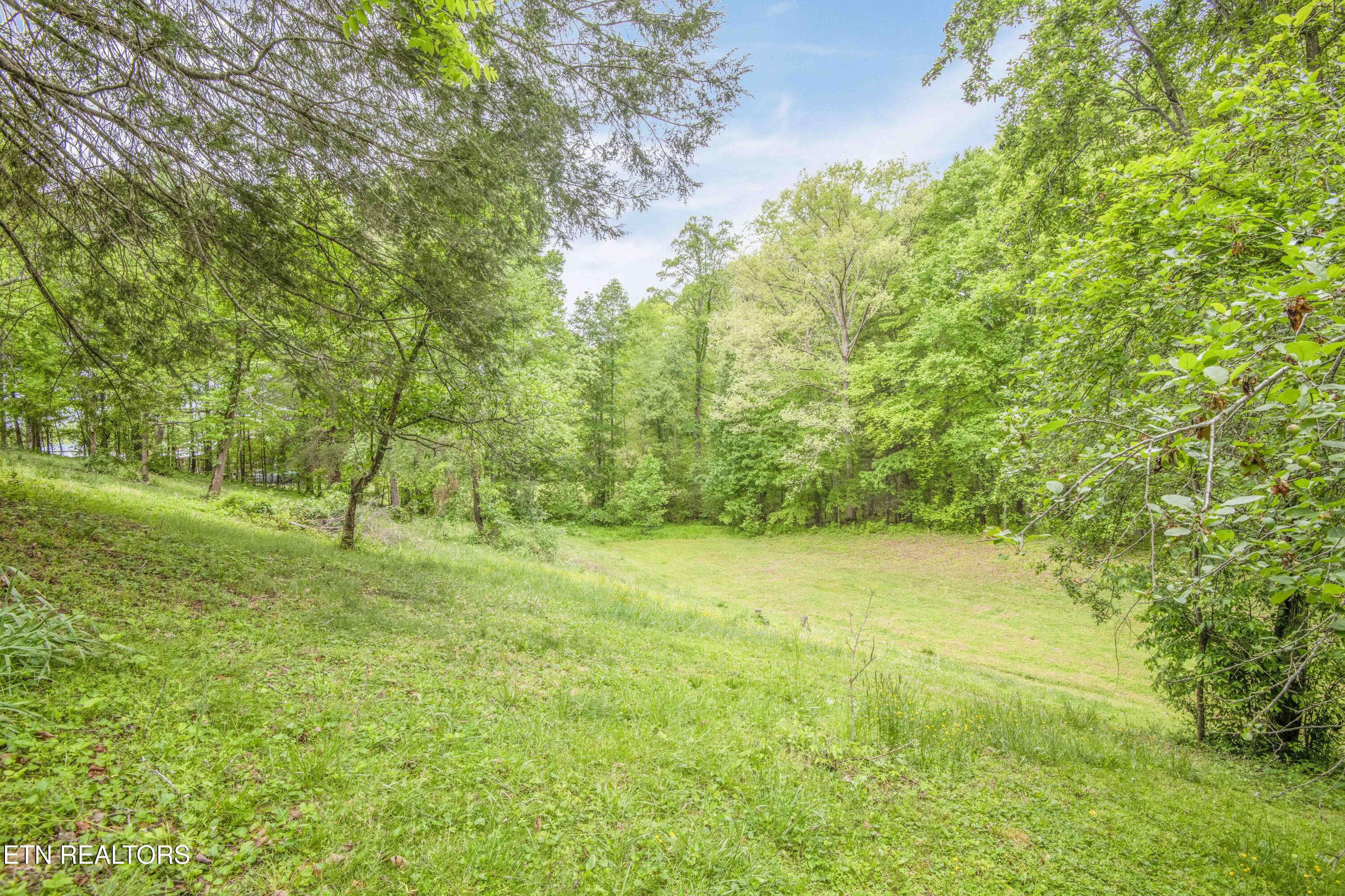 355 Eli Lane Oneida, TN 37841 - Photo 42 of 58 yard 2_1