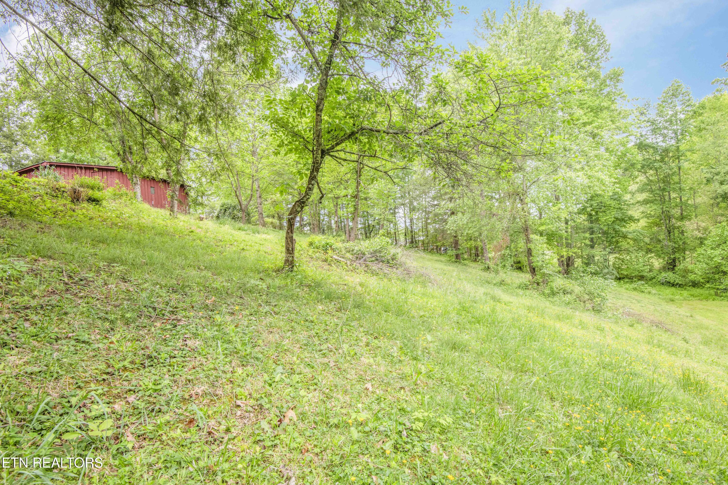 355 Eli Lane Oneida, TN 37841 - Photo 43 of 58 yard 3_1