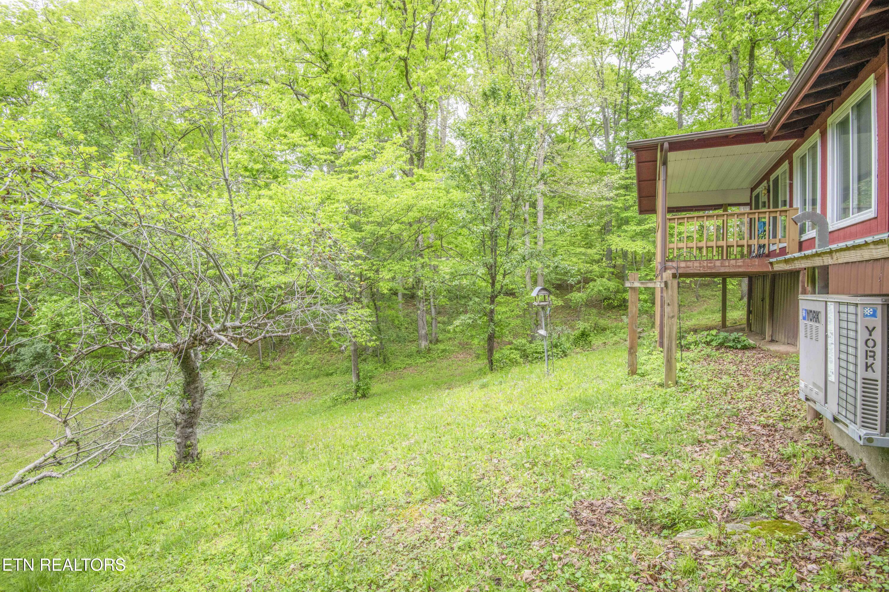 355 Eli Lane Oneida, TN 37841 - Photo 44 of 58 yard 4_1