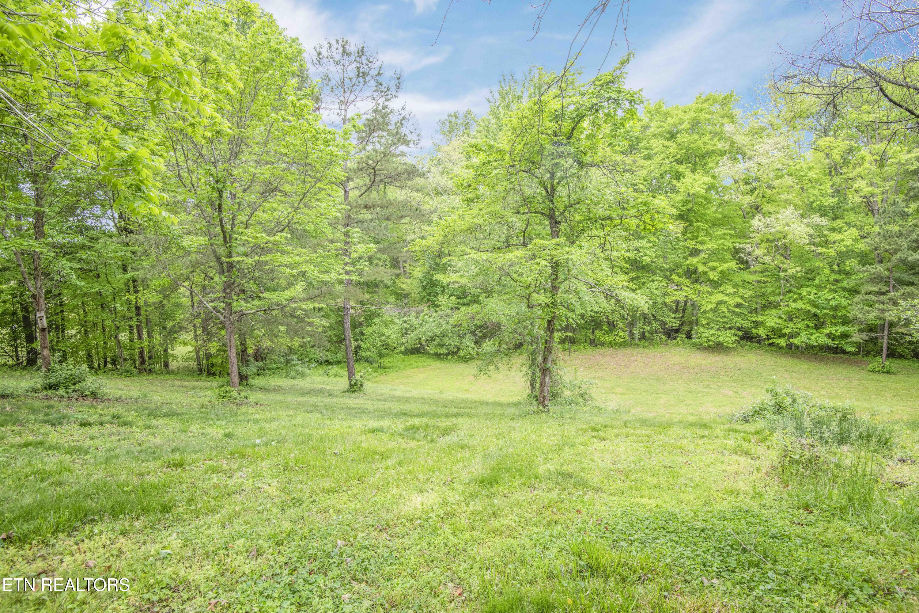 355 Eli Lane Oneida, TN 37841 - Photo 58 of 58 yard 5_1