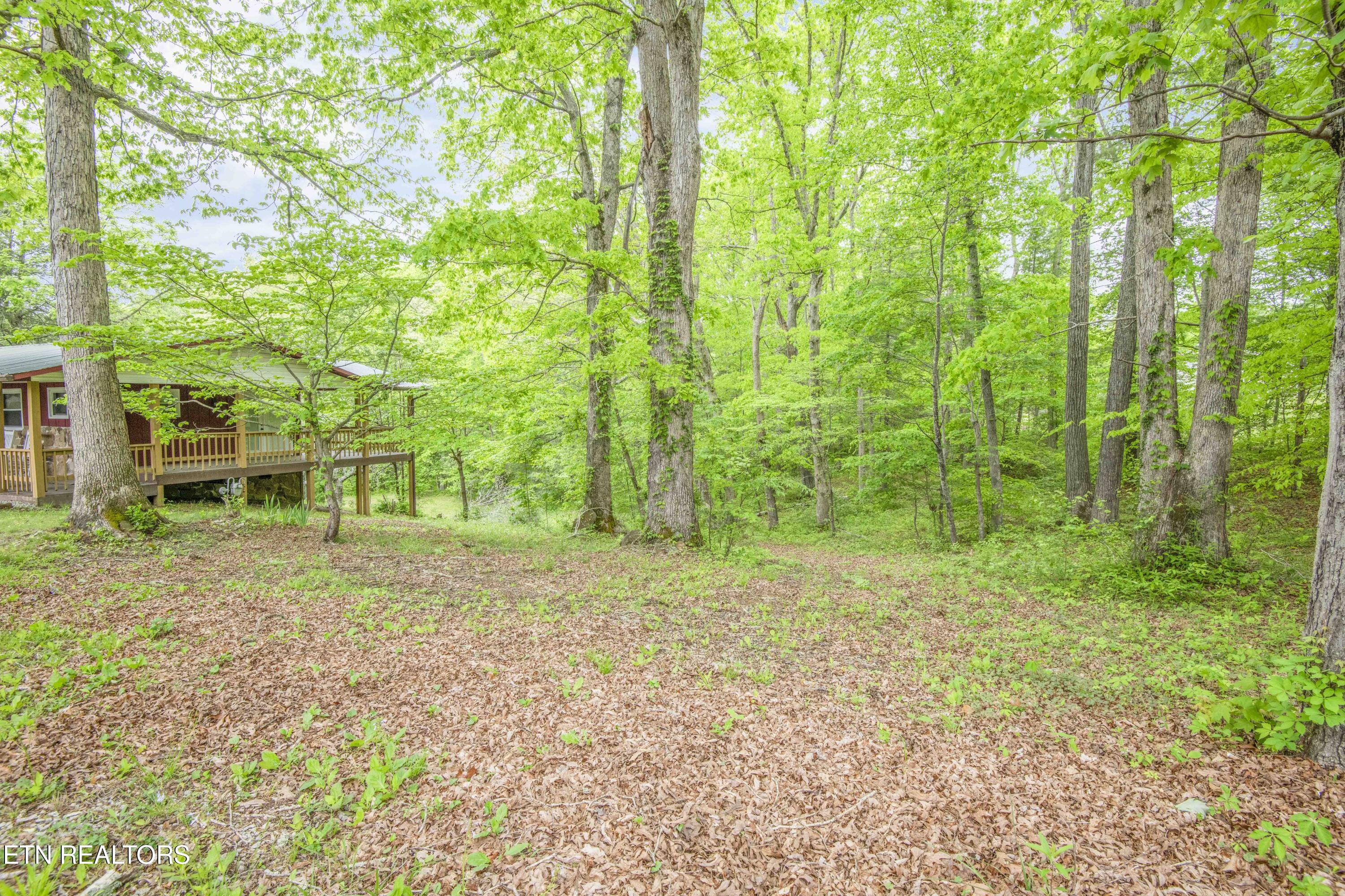 355 Eli Lane Oneida, TN 37841 - Photo 9 of 58 Private Setting