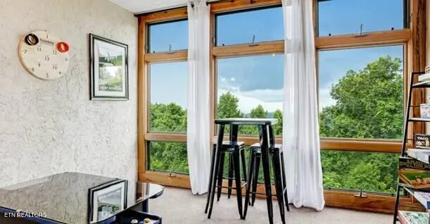 $399,000 | 1130 Ski View Drive, Unit 109, Gatlinburg, TN 37738