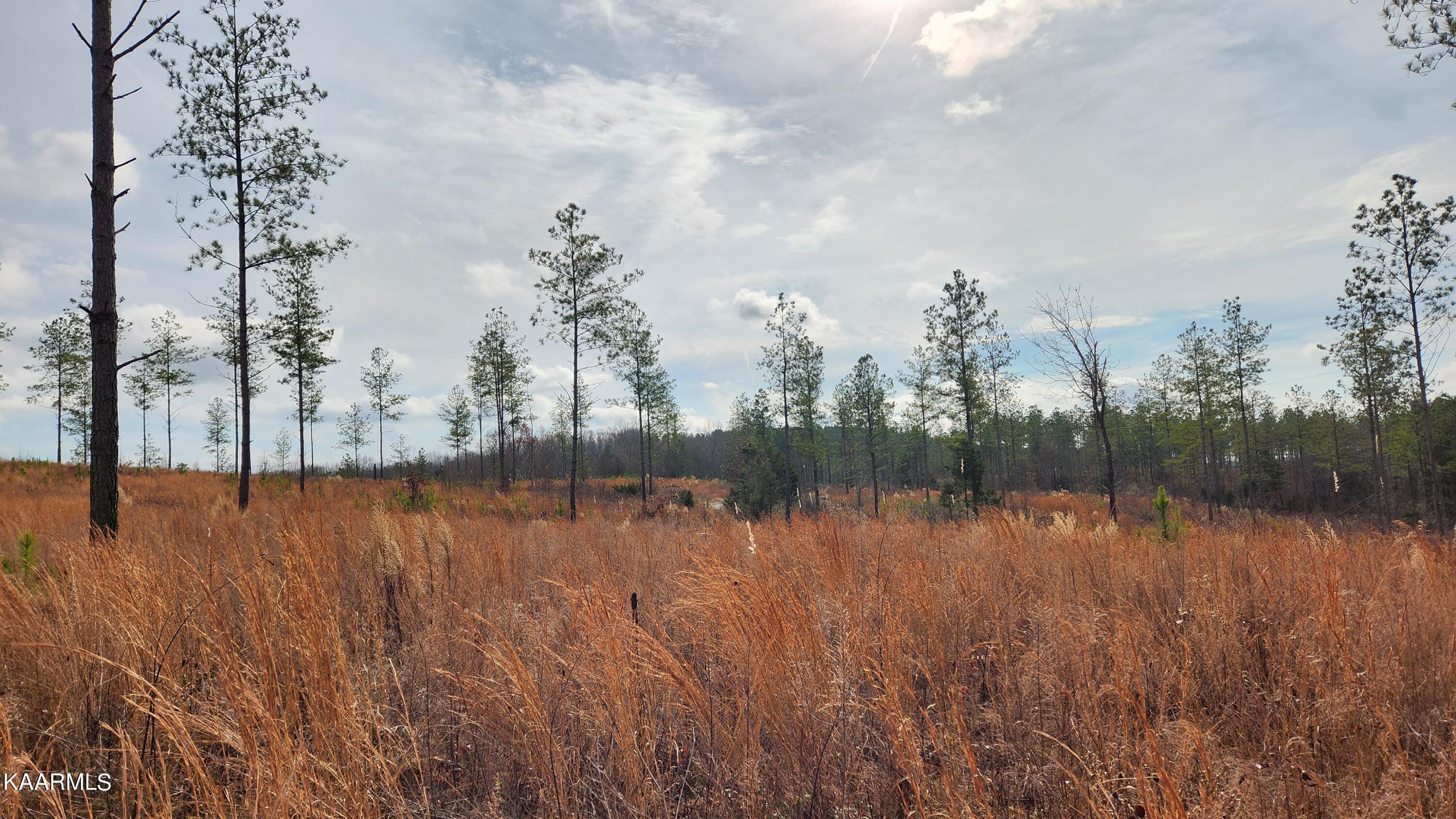 1 Wasson Road Ten Mile, TN 37880 - Photo 1 of 5 20221210_125647