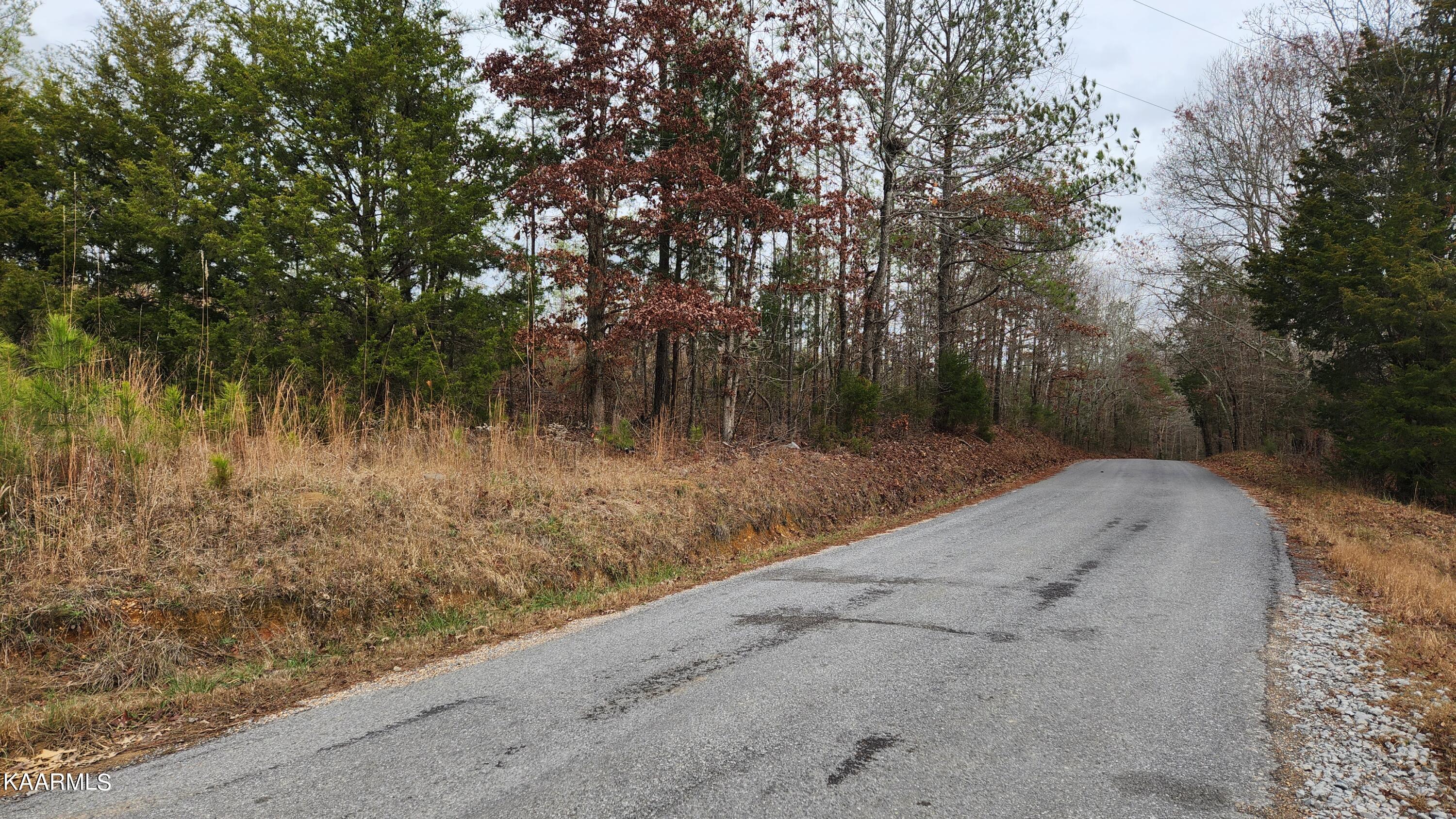 1 Wasson Road Ten Mile, TN 37880 - Photo 5 of 5 20221210_132330