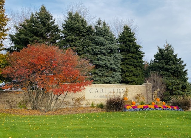 1908 Southern Circle, Unit 1908 Pingree Grove, IL 60140 - Photo 24 of 30 a view of an outdoor space and yard