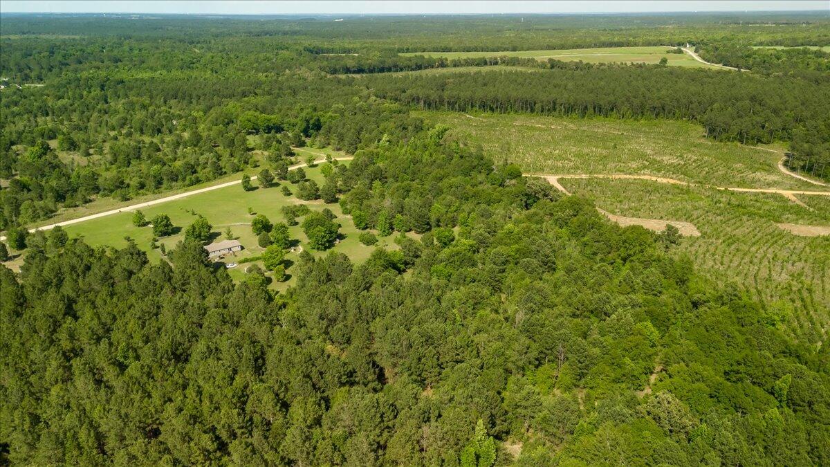 0 Blackstone Road Hephzibah, GA 30815 - Photo 7 of 10 05-005-