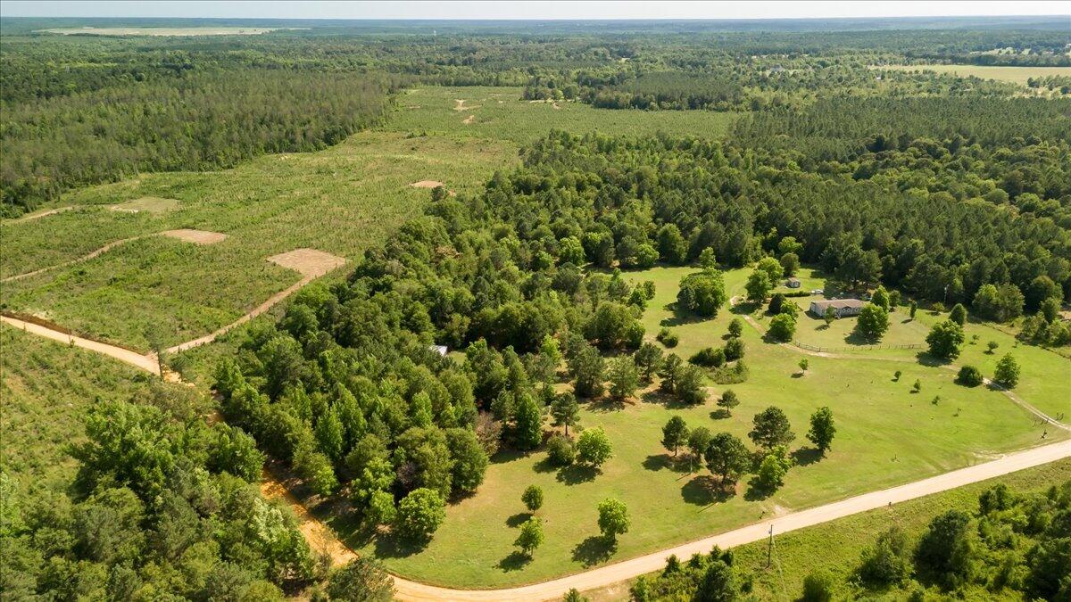 0 Blackstone Road Hephzibah, GA 30815 - Photo 8 of 10 06-006-