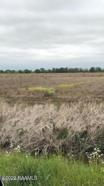 Tbd Opelousas Road Ville Platte, LA 70586 - Photo 1 of 1 3347 Opelousas Rd