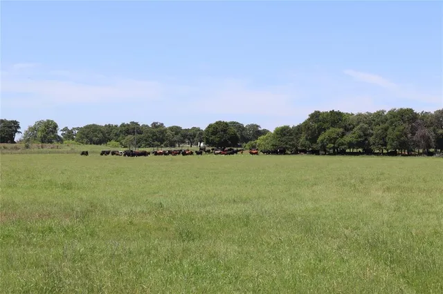 a view of a lake with houses in the back