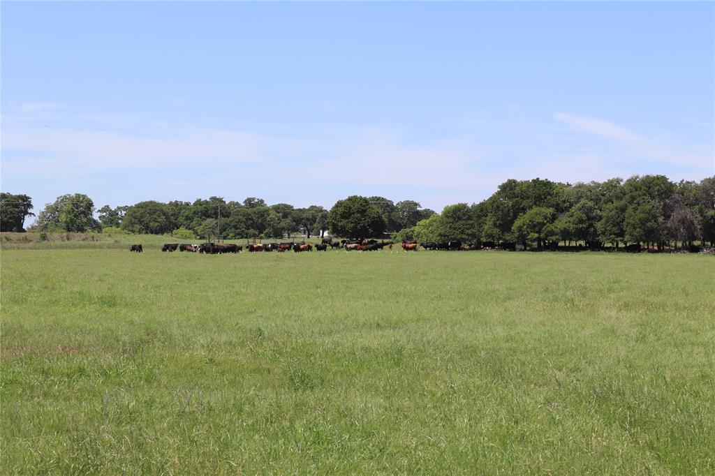 293-acres Deer Creek Road Henrietta, TX 76365 - Photo 11 of 22 a view of a lake with houses in the back