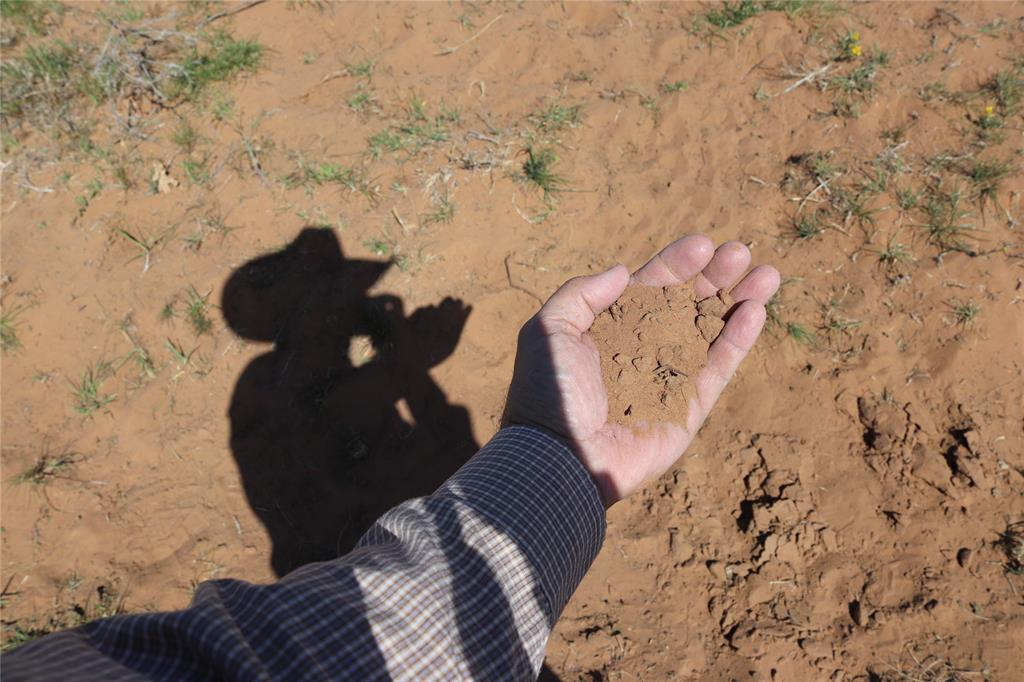 293-acres Deer Creek Road Henrietta, TX 76365 - Photo 14 of 22 a vase of flowers sitting on a bed