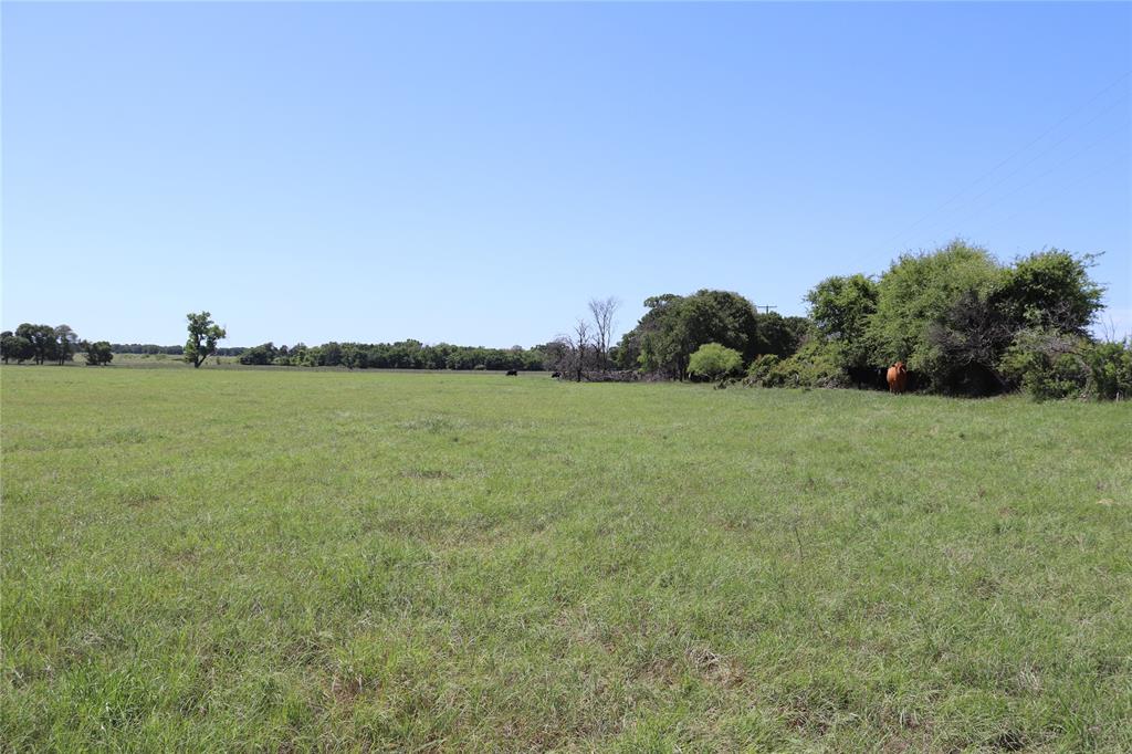 293-acres Deer Creek Road Henrietta, TX 76365 - Photo 4 of 22 a view of a field with an ocean