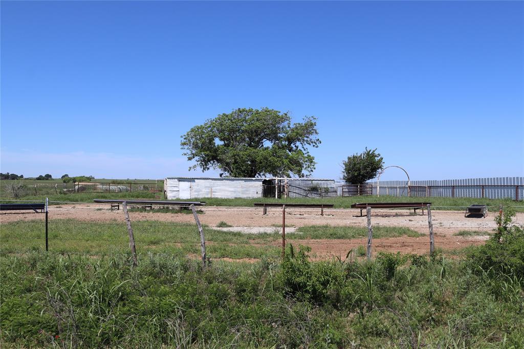 293-acres Deer Creek Road Henrietta, TX 76365 - Photo 7 of 22 a view of a garden and a yard