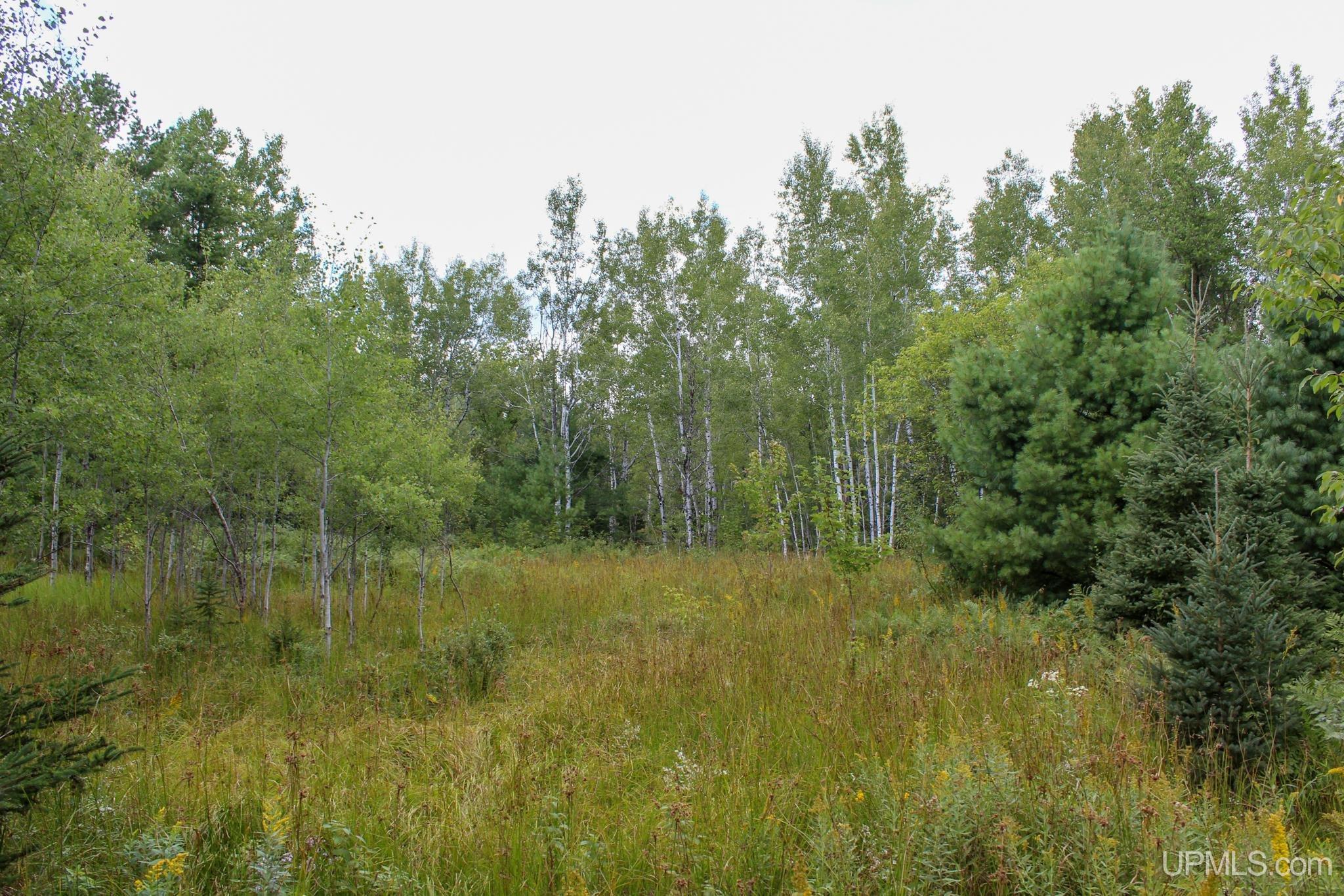 Tbd Michaelson Road Pelkie, MI 49958 - Photo 56 of 73 Gallery Image 56