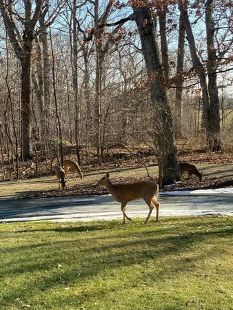 $1,250,000 | 273 Bridlewood Lane, Valparaiso, IN 46385