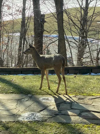 $1,250,000 | 273 Bridlewood Lane, Valparaiso, IN 46385