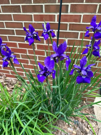 $1,250,000 | 273 Bridlewood Lane, Valparaiso, IN 46385