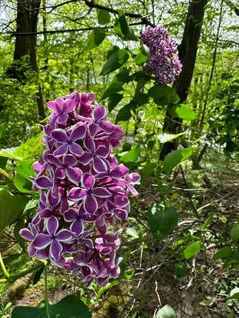 $1,250,000 | 273 Bridlewood Lane, Valparaiso, IN 46385