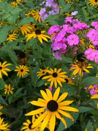 $1,250,000 | 273 Bridlewood Lane, Valparaiso, IN 46385