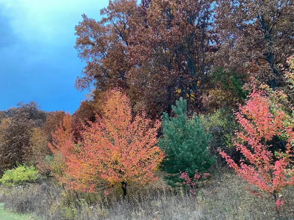 $1,250,000 | 273 Bridlewood Lane, Valparaiso, IN 46385