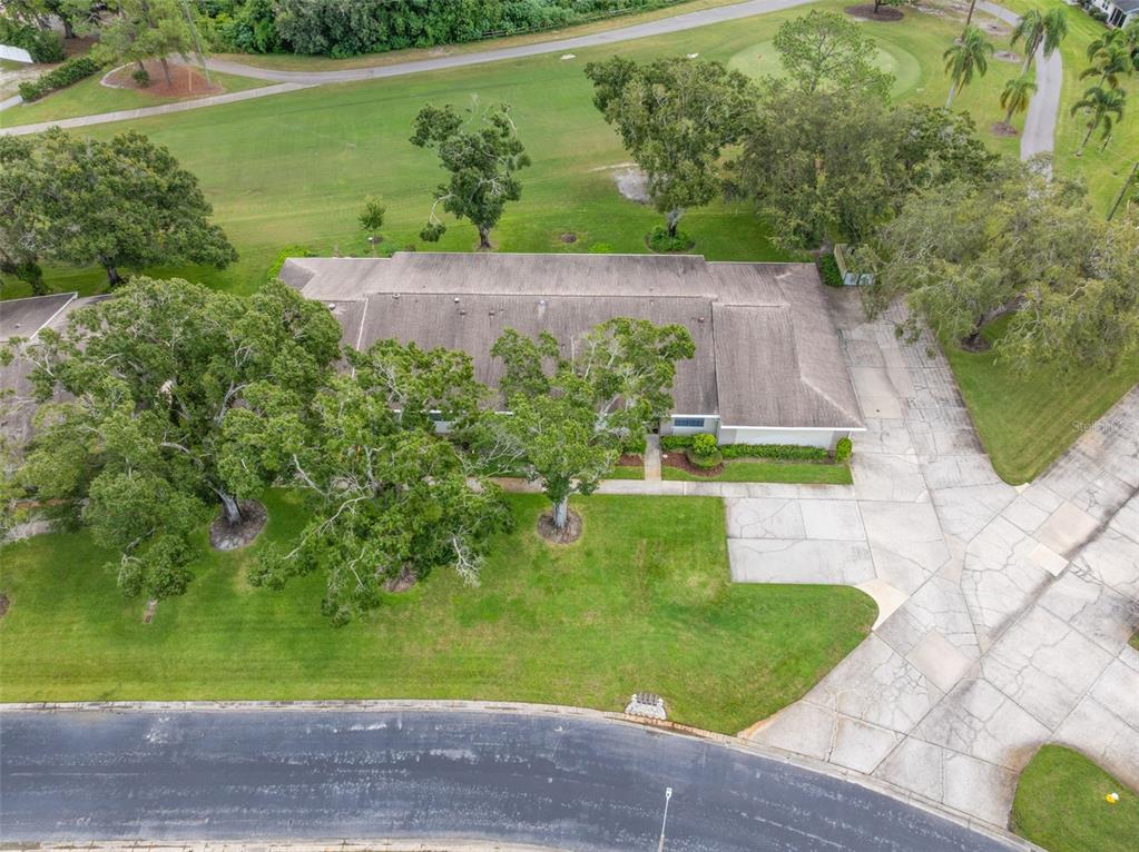 1012 Dunrobin Drive, Unit D Palm Harbor, FL 34684 - Photo 43 of 61 a view of a yard with front of house