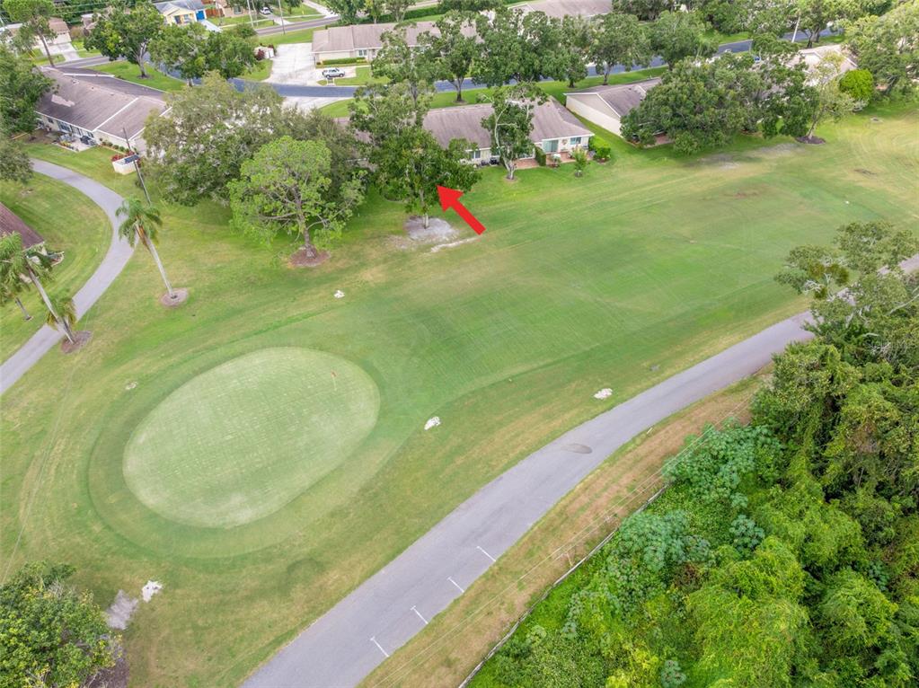 1012 Dunrobin Drive, Unit D Palm Harbor, FL 34684 - Photo 45 of 61