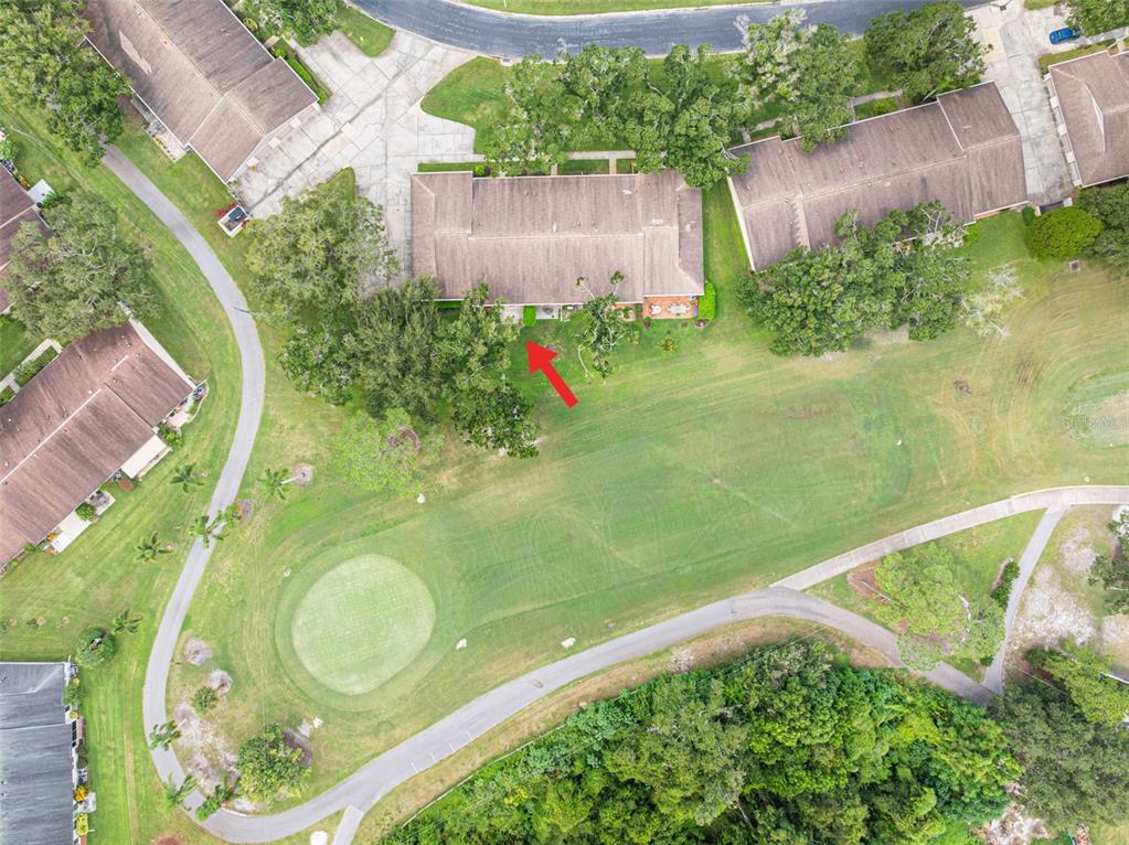 1012 Dunrobin Drive, Unit D Palm Harbor, FL 34684 - Photo 47 of 61 an aerial view of a residential houses with outdoor space and trees all around