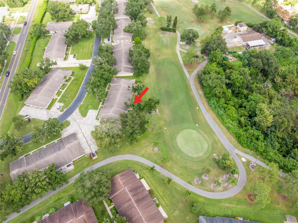 1012 Dunrobin Drive, Unit D Palm Harbor, FL 34684 - Photo 48 of 61 an aerial view of a house