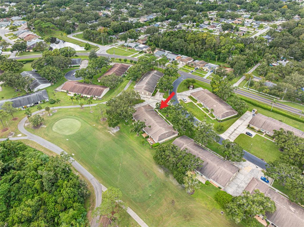 1012 Dunrobin Drive, Unit D Palm Harbor, FL 34684 - Photo 49 of 61 an aerial view of residential houses with outdoor space and trees