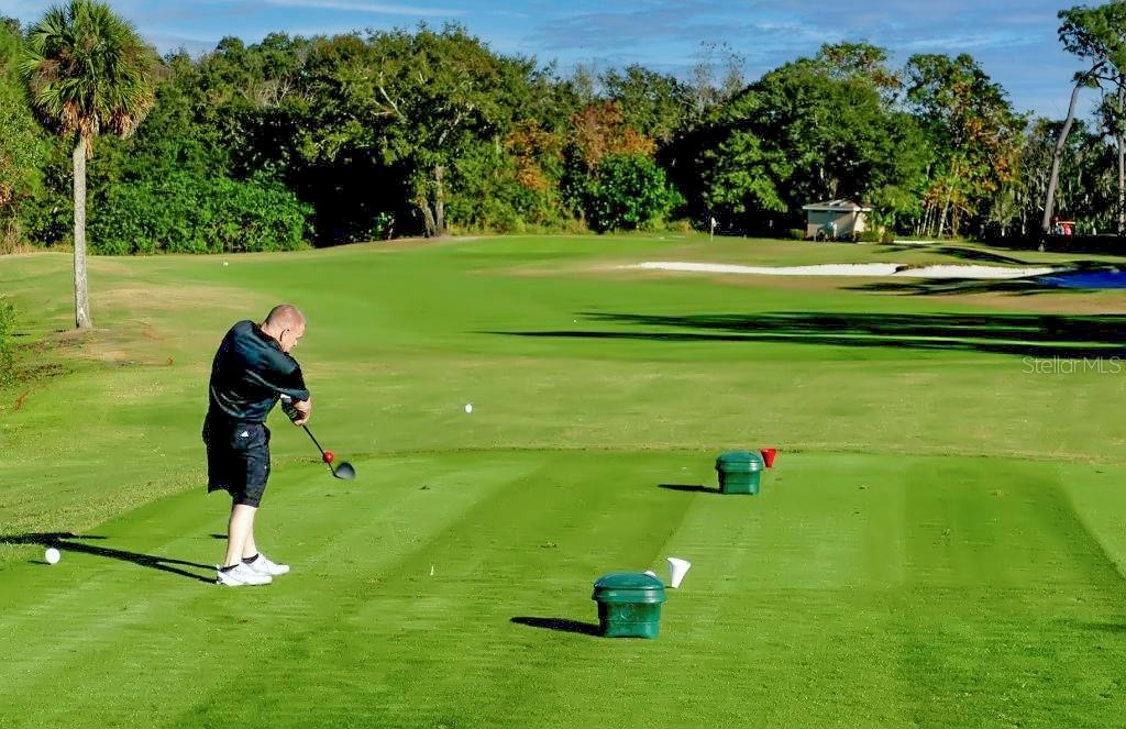 1012 Dunrobin Drive, Unit D Palm Harbor, FL 34684 - Photo 55 of 61 a view of a golf course with a play ground