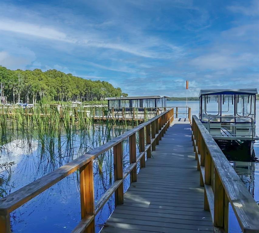 1012 Dunrobin Drive, Unit D Palm Harbor, FL 34684 - Photo 57 of 61