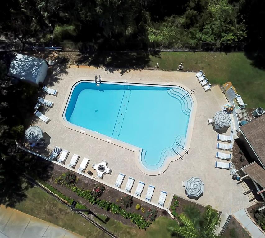 1012 Dunrobin Drive, Unit D Palm Harbor, FL 34684 - Photo 59 of 61 an outdoor view of swimming pool