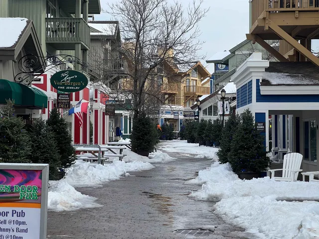 $235,000 | 80 The Hollow Road, Unit D4, Winhall, VT 05340