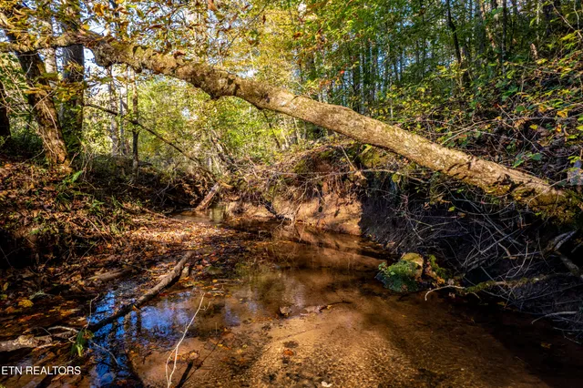 $1,295,000 | 139 Stakely Road, Madisonville, TN 37354