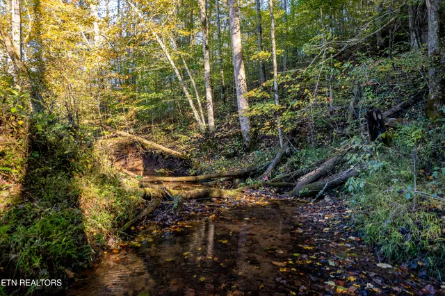 $1,295,000 | 139 Stakely Road, Madisonville, TN 37354