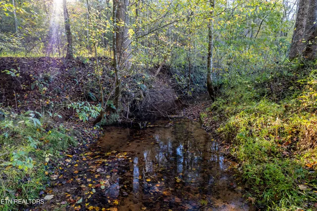 $1,295,000 | 139 Stakely Road, Madisonville, TN 37354