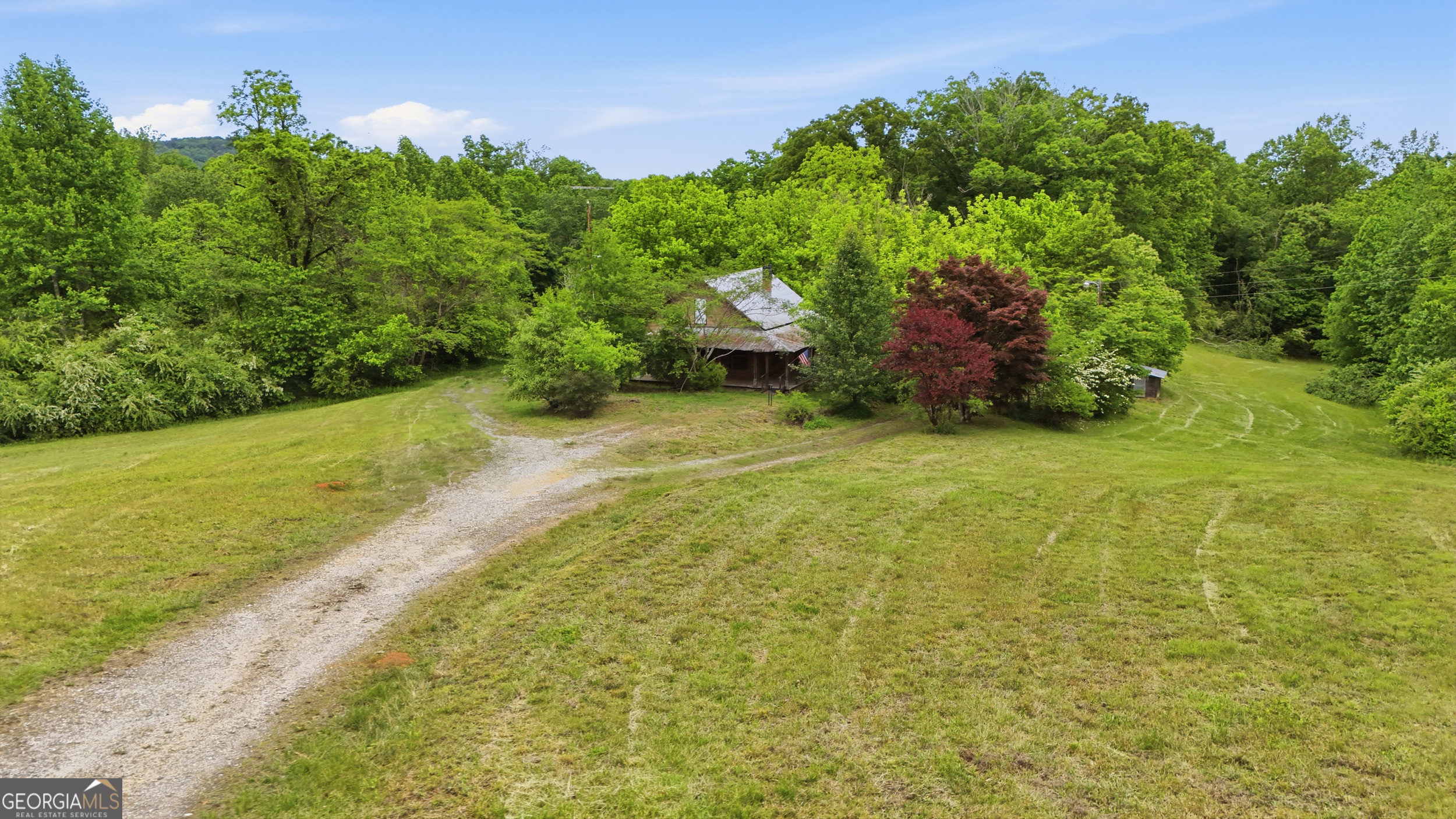 2558 Stonepile Road Clarkesville, GA 30523 - Photo 2 of 26