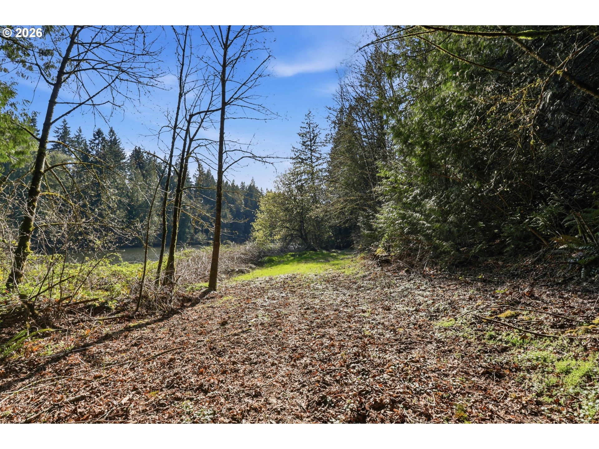 27671 South Ringo Road Mulino, OR 97042 - Photo 41 of 47